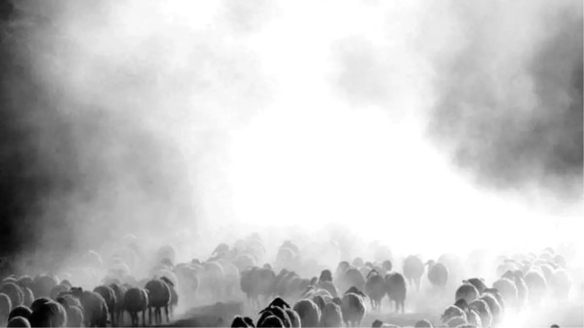 Teröristler Yaylalardaki Çobanları Tuzağa Düşürüyor