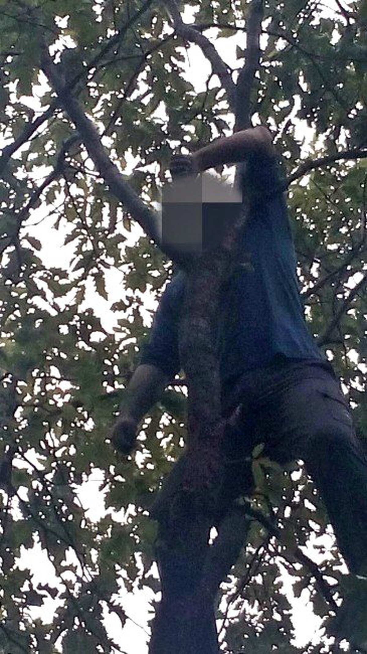 Üvey Oğlunu Öldürmek Şüphesiyle Aranan Baba İntihar Etti
