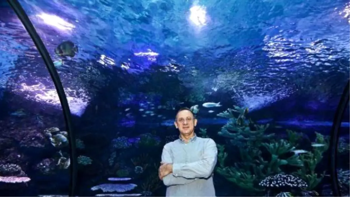 Antalya Aquarium Safe And Sound Despite "Tourism Crisis"