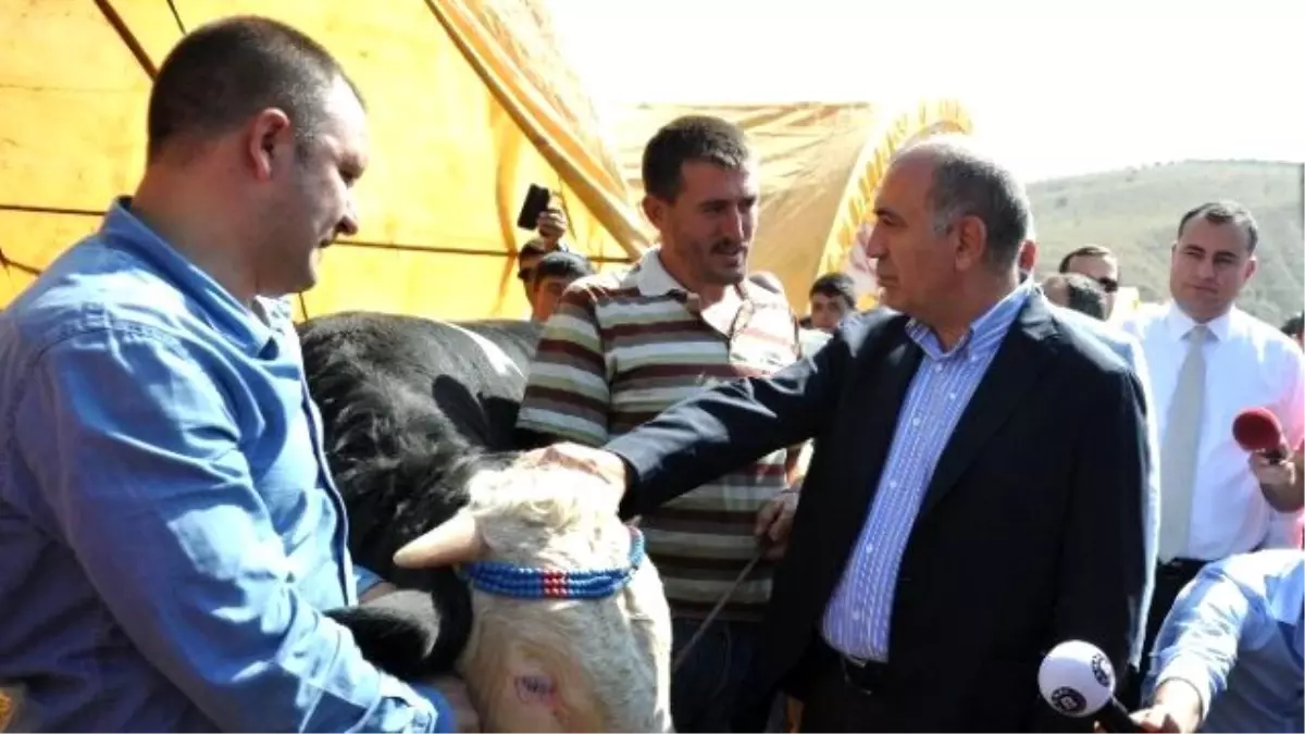 CHP Genel Sekreteri Tekin, Kurbanlık Hayvan Satış ve Kesim Yeri\'ni Ziyaret Etti