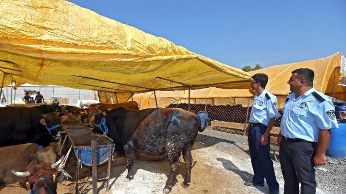 Konak\'ta Kurban Satış ve Kesim Yeri Hazır