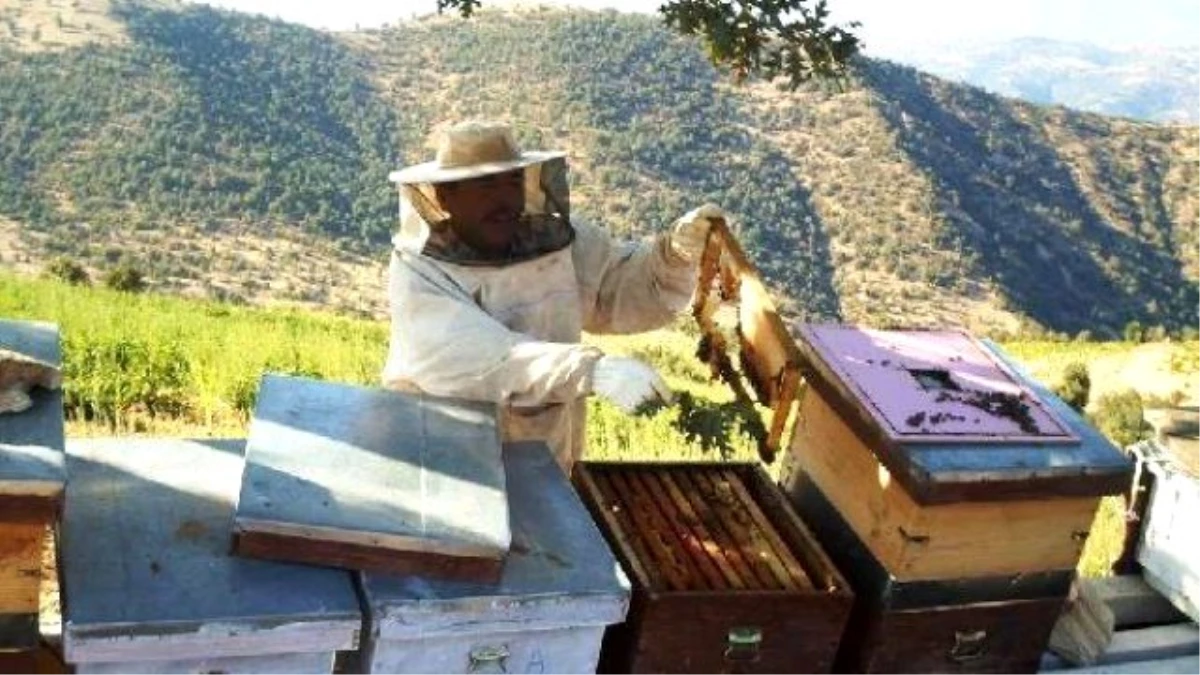 Local Quits Smoking, Make Apiculture Business With The Saved Money