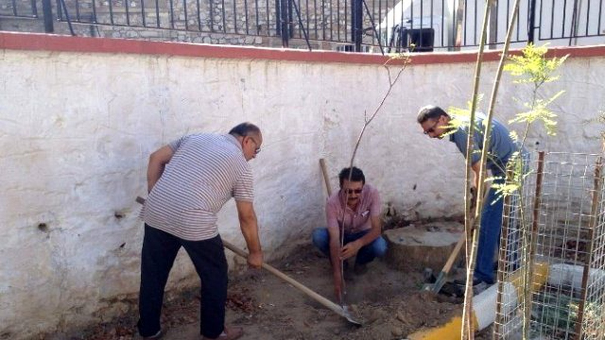 Öğretmenler, Fidanları Fidan Dikerek Beklemeye Başladı