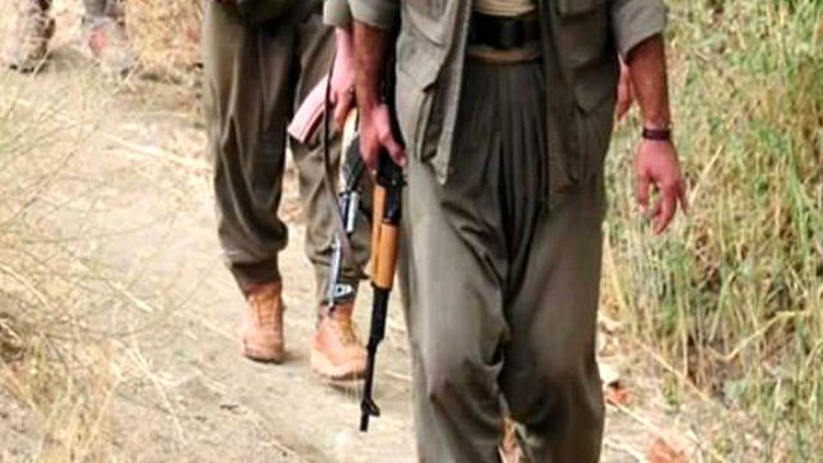 Van\'a Eyleme Gelen Silahlı 2 PKK\'lı Yakalandı