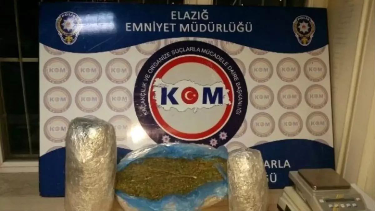 Elazığ\'da Esrarla Yakalanan Bir Kişi Tutuklandı