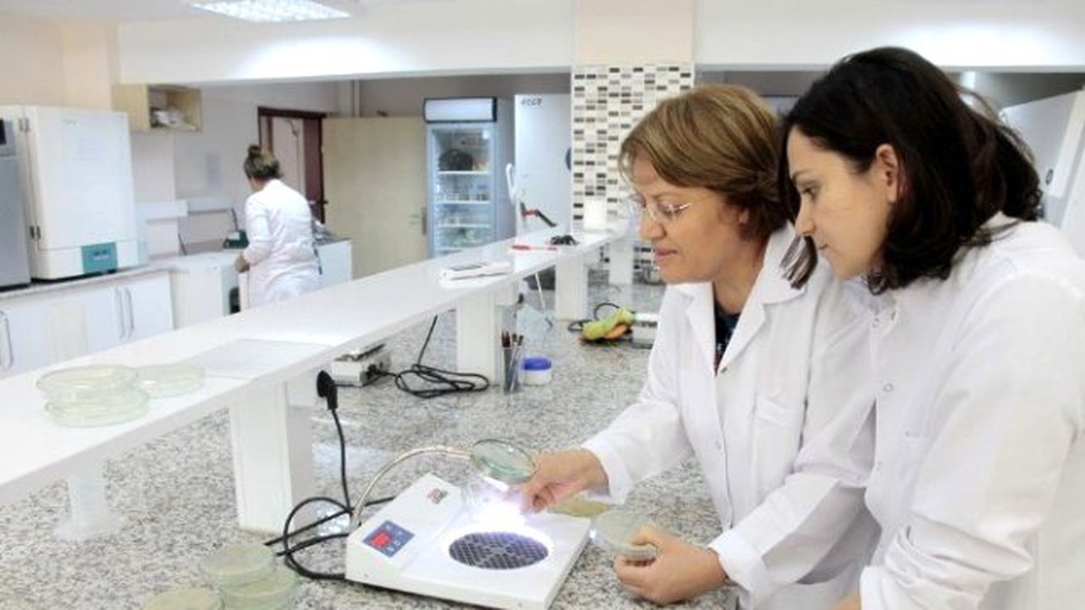 Gıda Mühendisliği Bölümü Doğal Biyokoruyucu Geliştirdi
