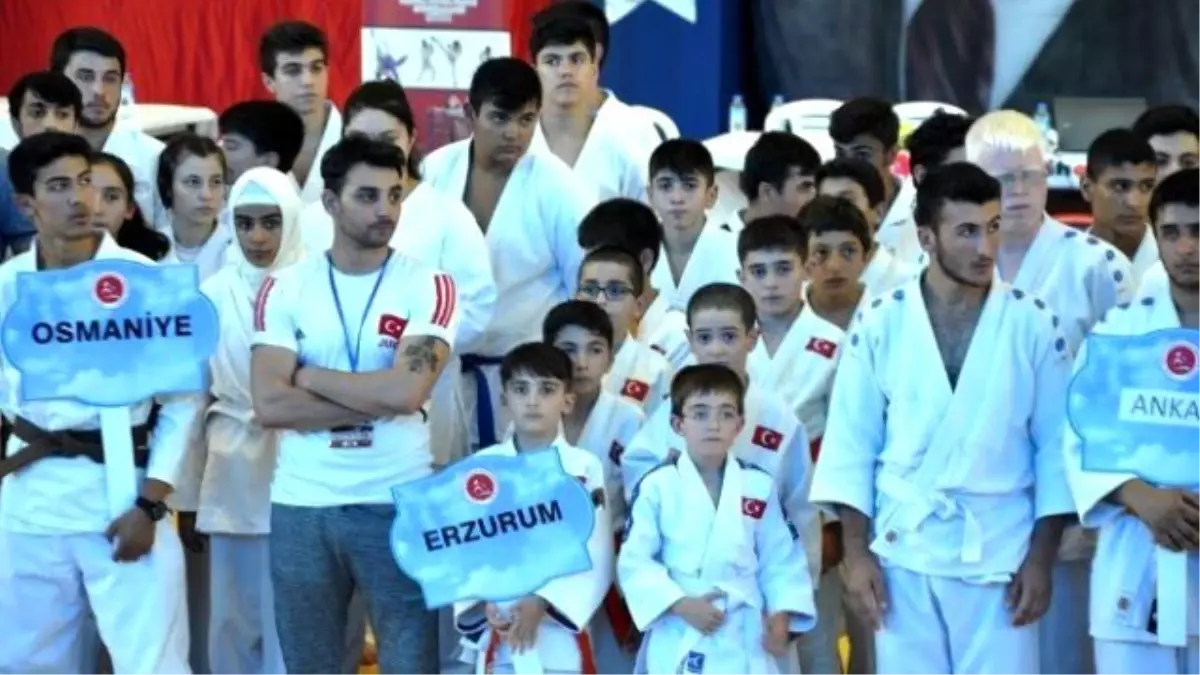 Jiu-jitsu\'da 14 Altın Madalya