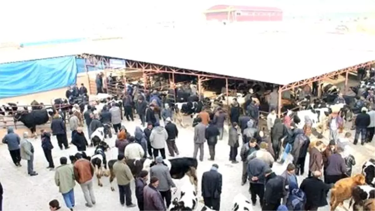 Kahramanmaraş\'ta Kurban Satış ve Kesim Yerleri Belirlendi