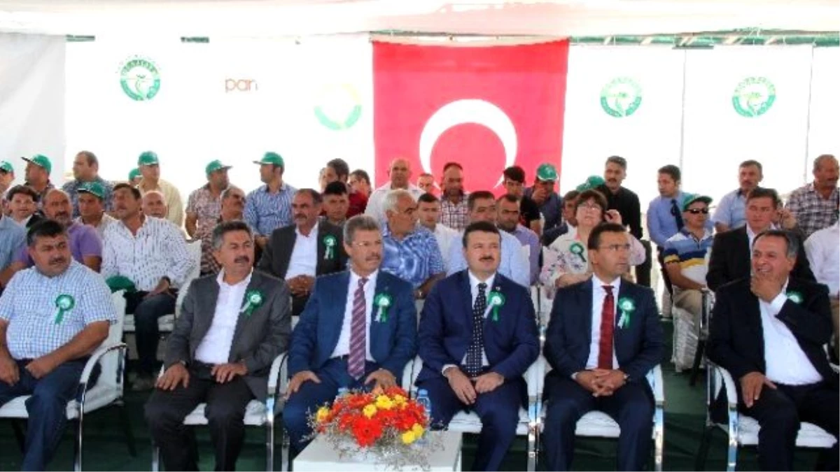 Kayseri Şeker\'den Boğazlıyan\'a 25 Milyonluk Yatırım