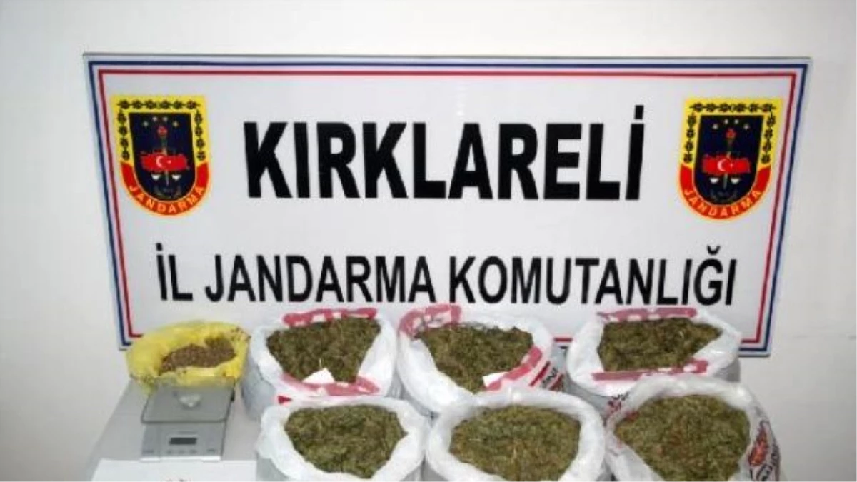 Kırklareli\'de 196 Kilo Esrara 4 Tutuklama