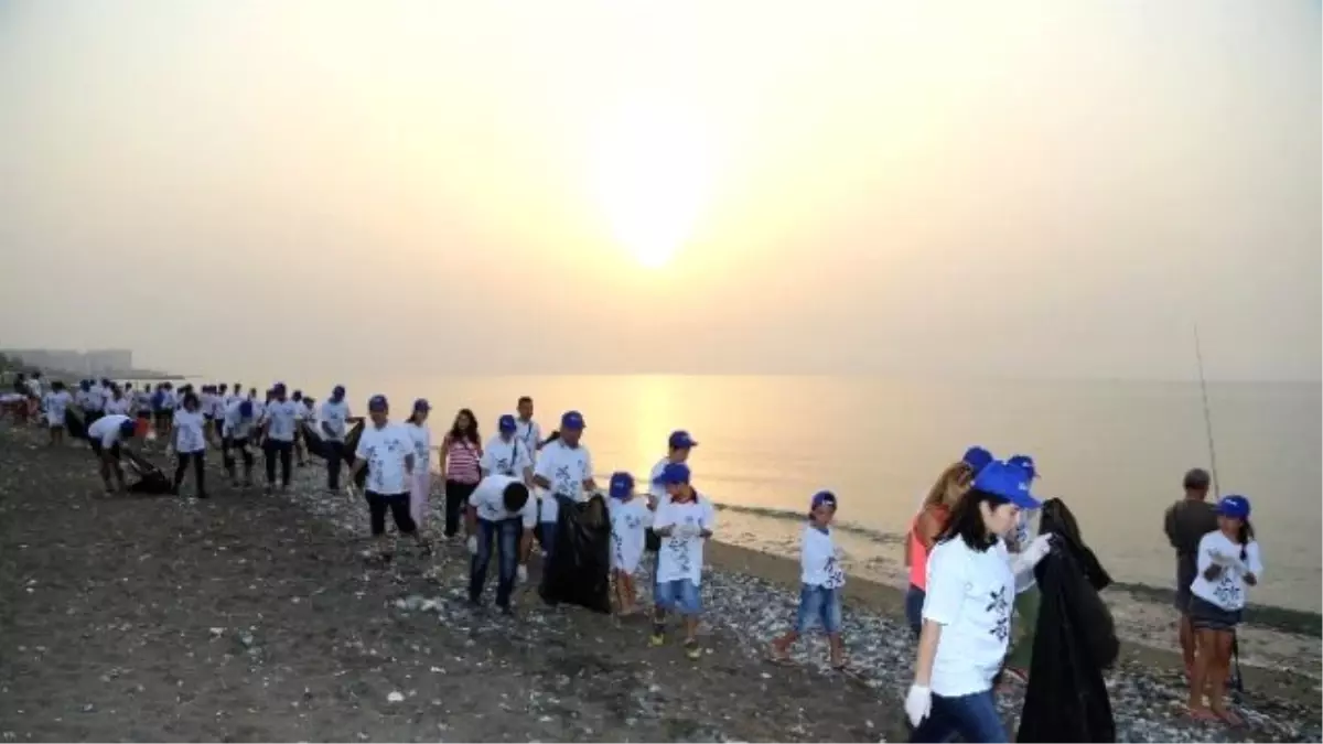 Meski Çalışanları, Yavru Carettalar İçin Kıyı Temizliği Yaptı