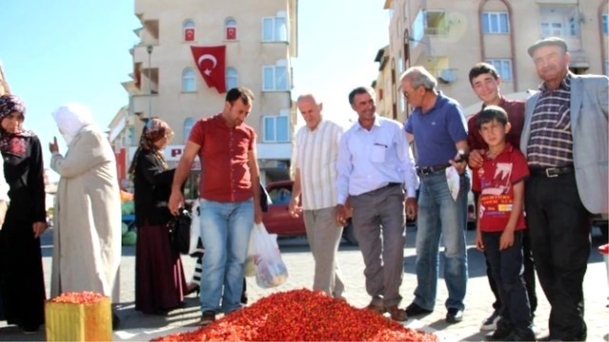 Oltu Pazarında Kuşburnu İzdihamı