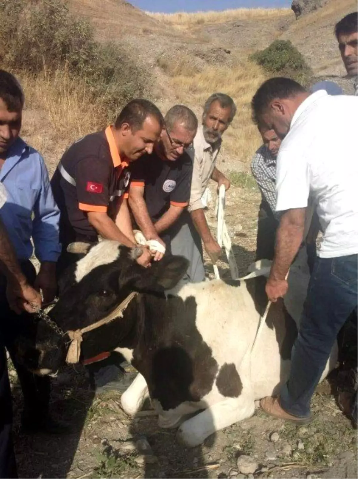Uçurumdan Yuvarlanan İneği Kurtarma Operasyonu
