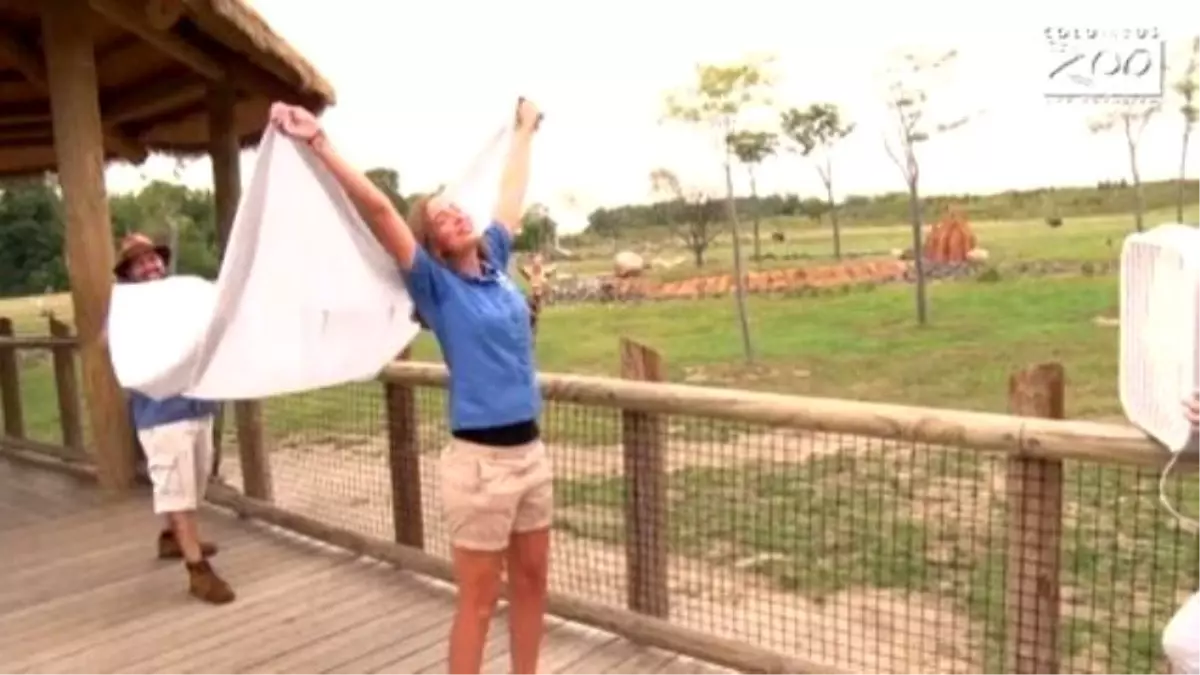 Zookeepers Hilariously Recreate Taylor Swift\'s African-themed "Wildest Dreams" Music Vid