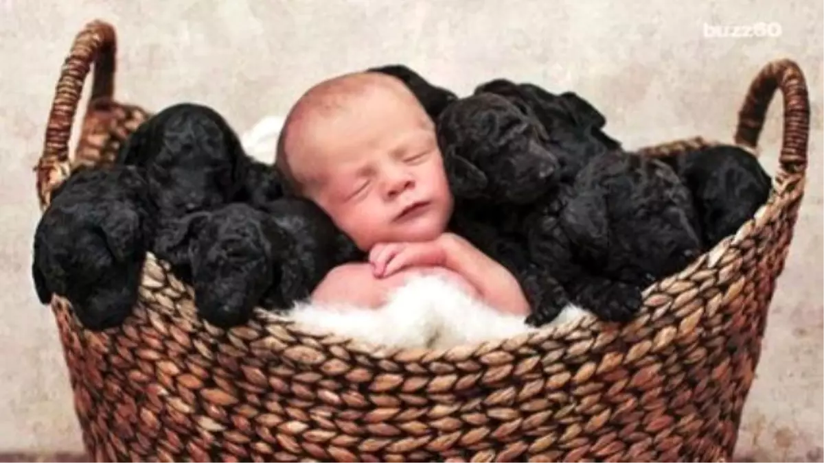 Adorable Photoshoot Features Baby And Puppies Born On The Same Day