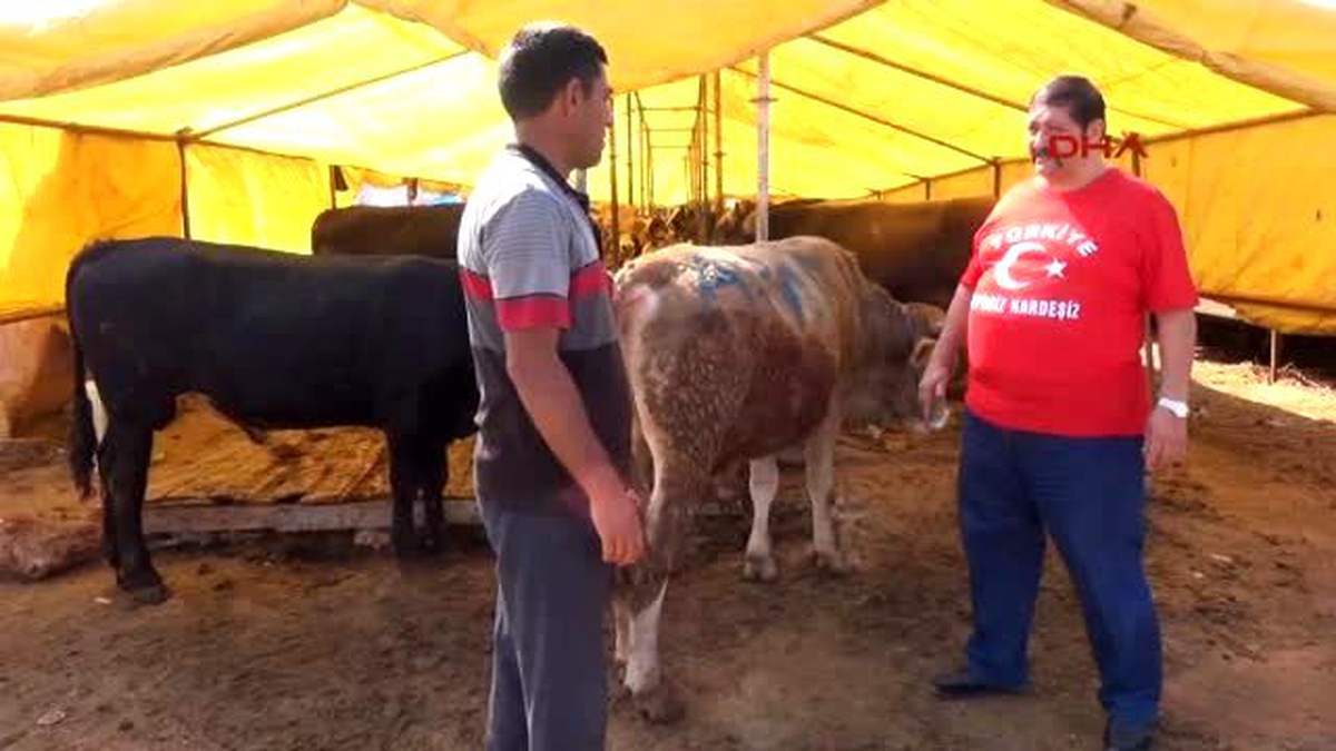 Antalya - Yardımcı: Türkiye\'nin En Ucuz Kurbanı Antalya\'da