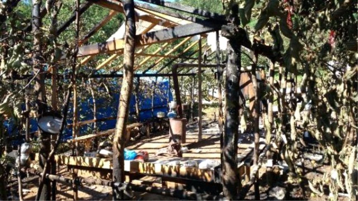 Fatsa\'da Siyanürlü Ayrıştırmayı Protesto Eden Çevrecilerin Çadırı Yakıldı