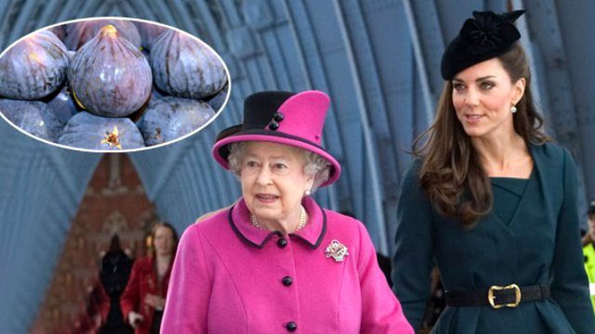 İngiliz Kraliçesinin Yediği 'Bursa Siyahı' İncirin Fiyatı Uçtu