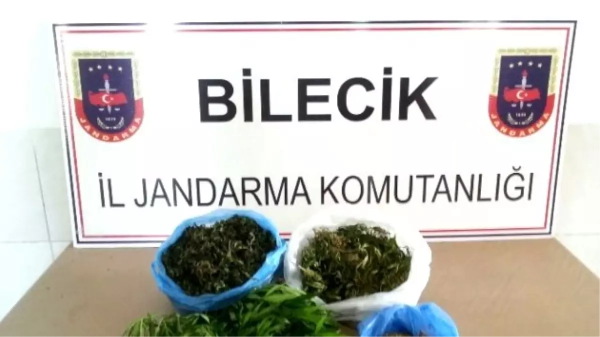 Jandarma Yarım Kilo Kubar Esrar Ele Geçirdi