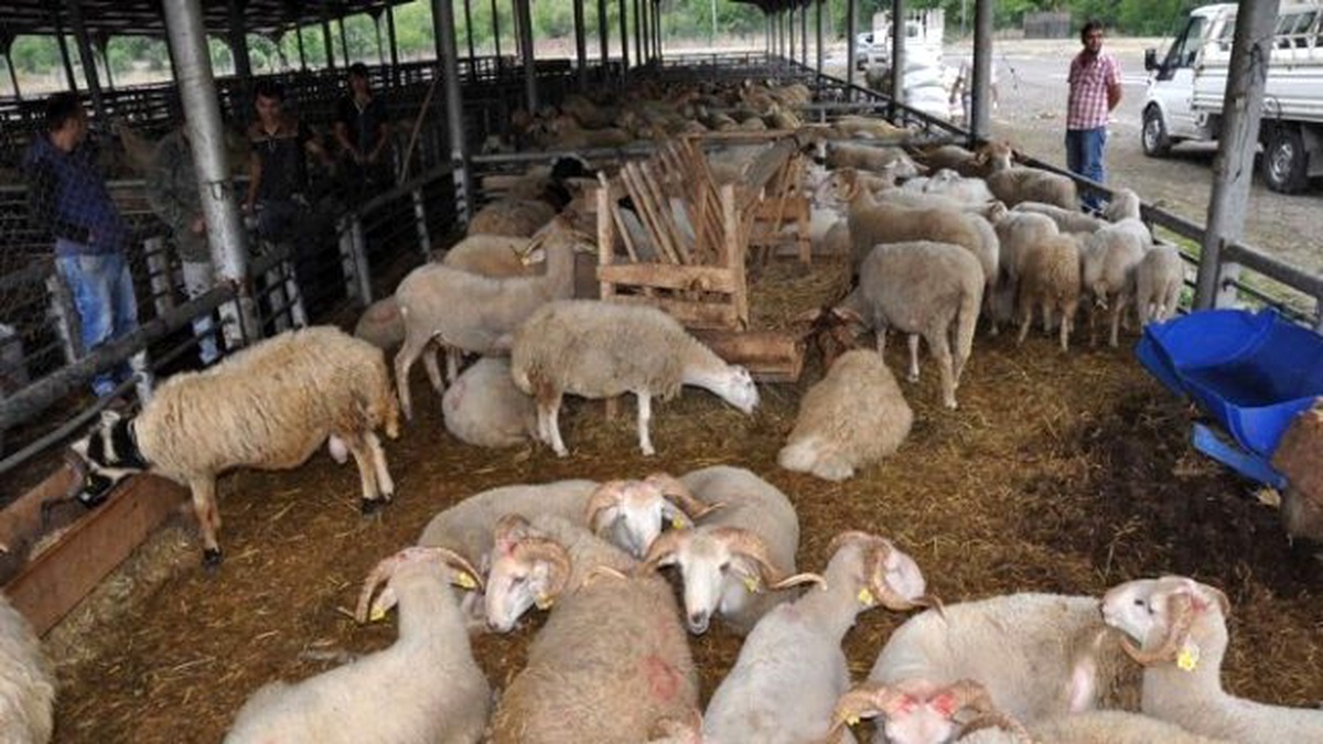 Karabük\'te Kurban Pazarında Hazırlıklar Tamamlandı