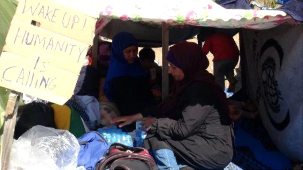 Migrants Camp By Edirne - Istanbul Highway, Refusing Aids (2)