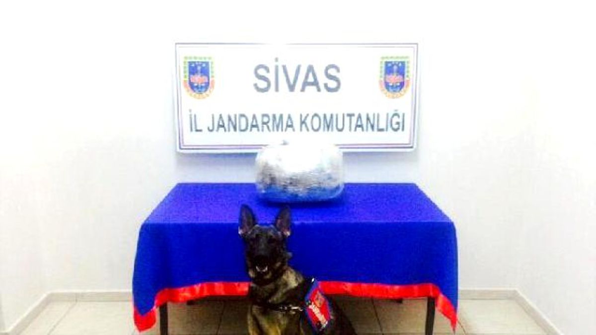 Sivas\'ta Uyuşturucu ve Sigara Operasyonu