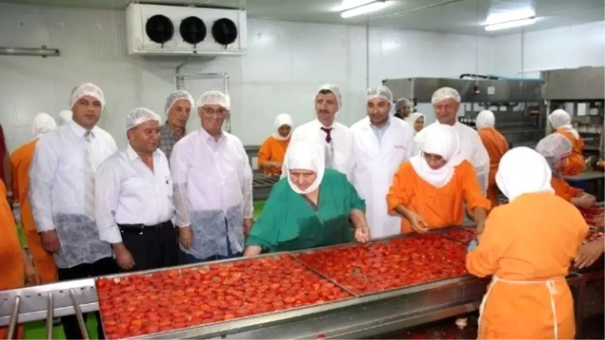 Vali Bektaş Gıda Üretim İşletmelerinde İncelemelerde Bulundu