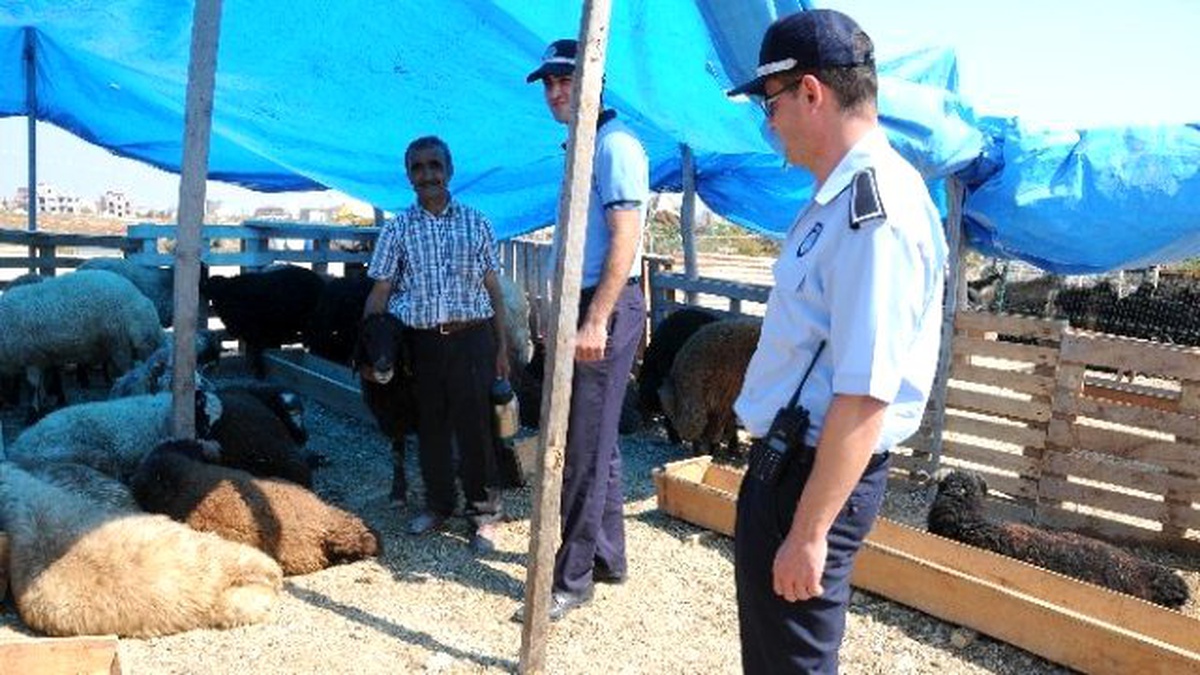 Yenişehir Belediyesi Kurban Satış ve Kesim Yerlerini Hazırladı