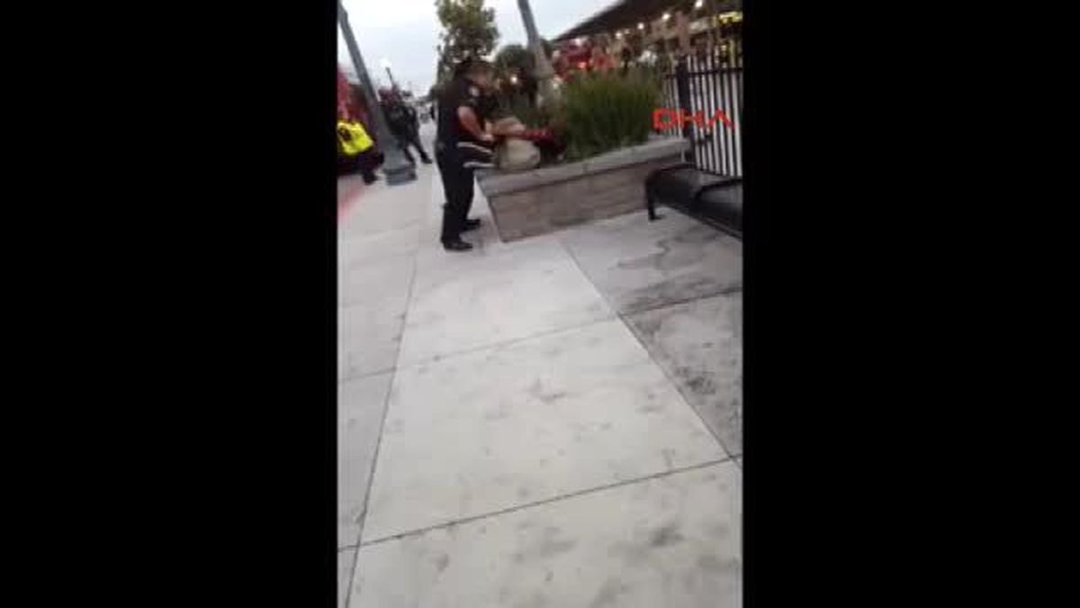 ABD'de 9 Polisten Kırmızı Işıkta Geçen Yayaya Feci Dayak