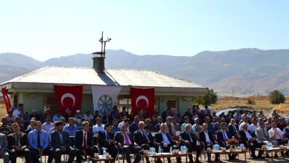 Muş\'ta Şeker Pancarı Alımına Başlandı