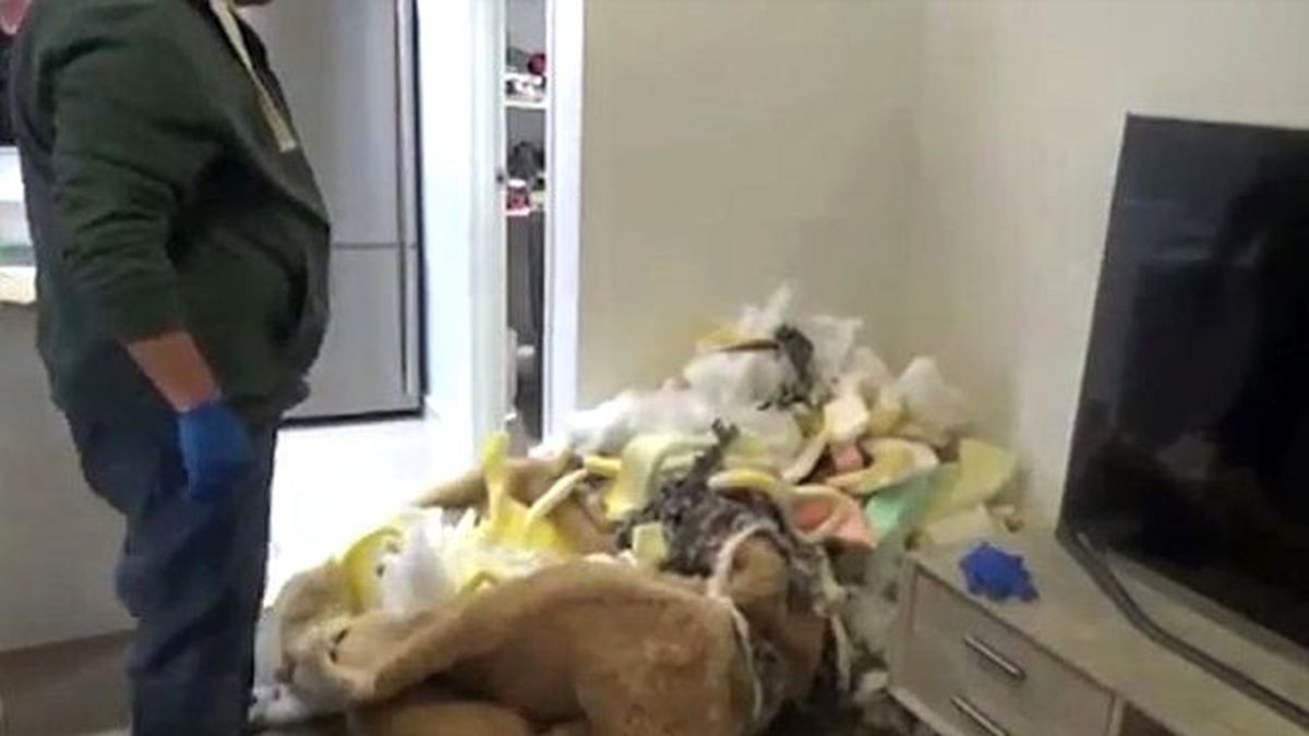 Oyuncak Ayının İçinden Silah Çıktı