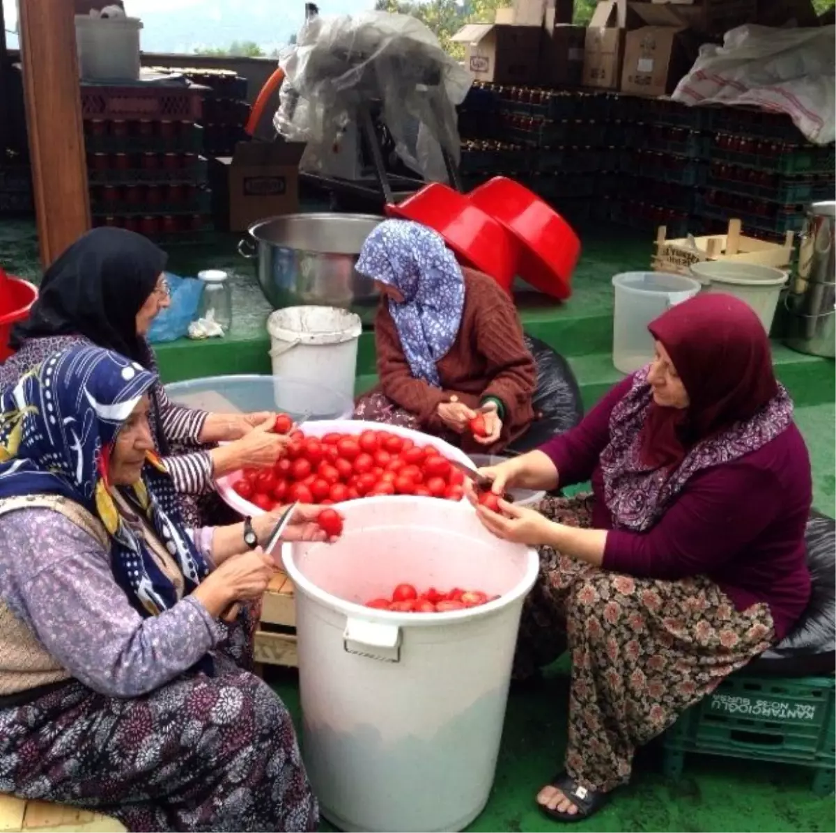 Üreten Kadınlar Bursa\'ya Renk Katıyor