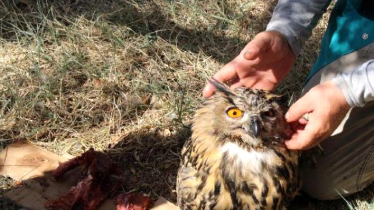 Hasta Puhuya Bebek İlgisi