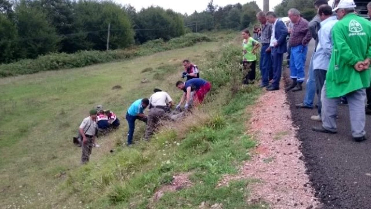 Motosiklet Elektrik Direğine Çarptı: 1 Ölü