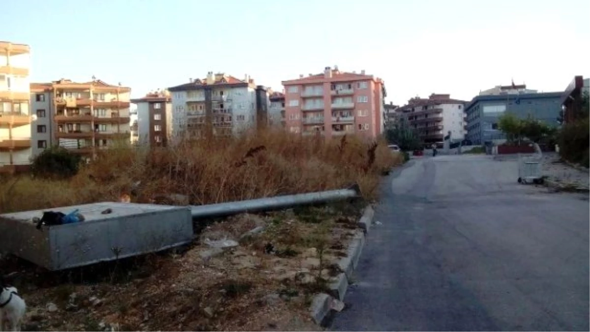 Mudanya\'da Sgk Arsası Çöplük Olarak Kullanılıyor