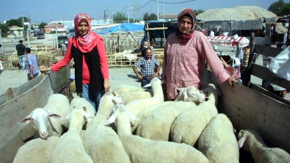 Biri Öğretmen Çoban Kız Kardeşler Kurban Pazarının İlgi Odağı Oldu