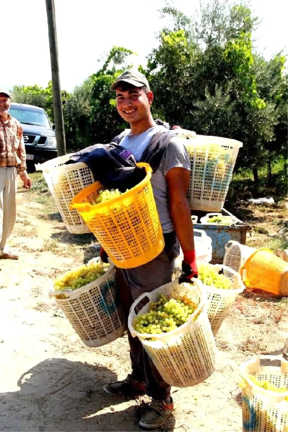 Sarıgöl\'ün Üzüm Herkülü