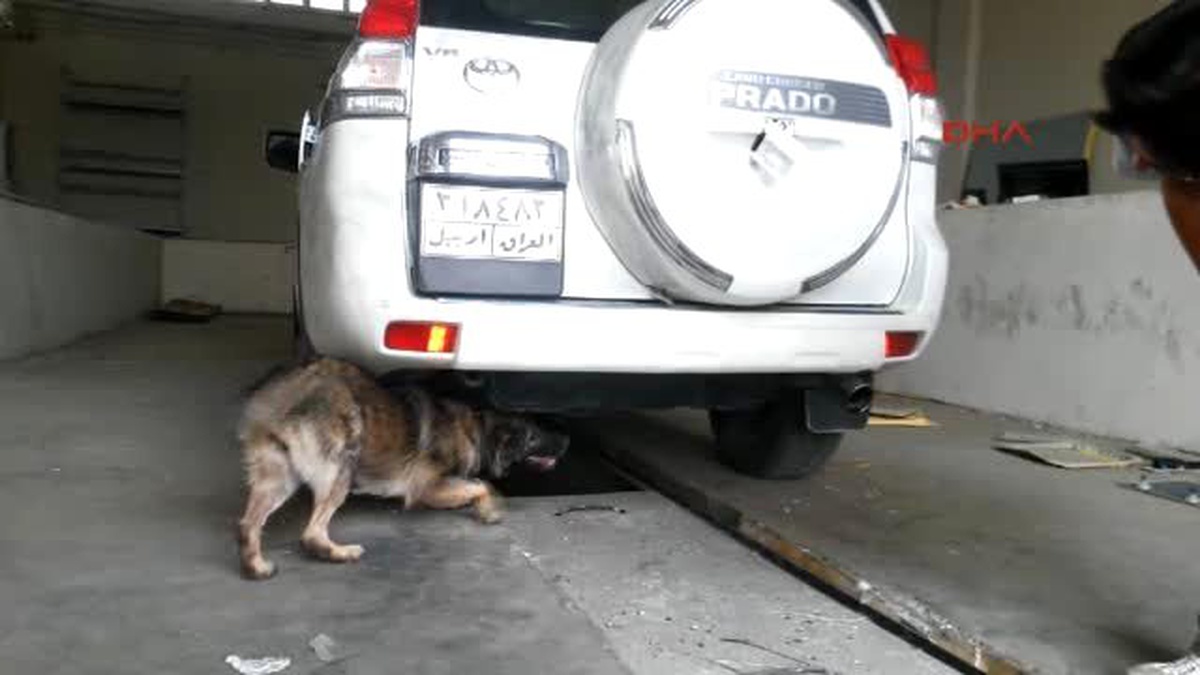 Silopi - Habur Sınır Kapısı\'nda Uyuşturucu Operasyonu