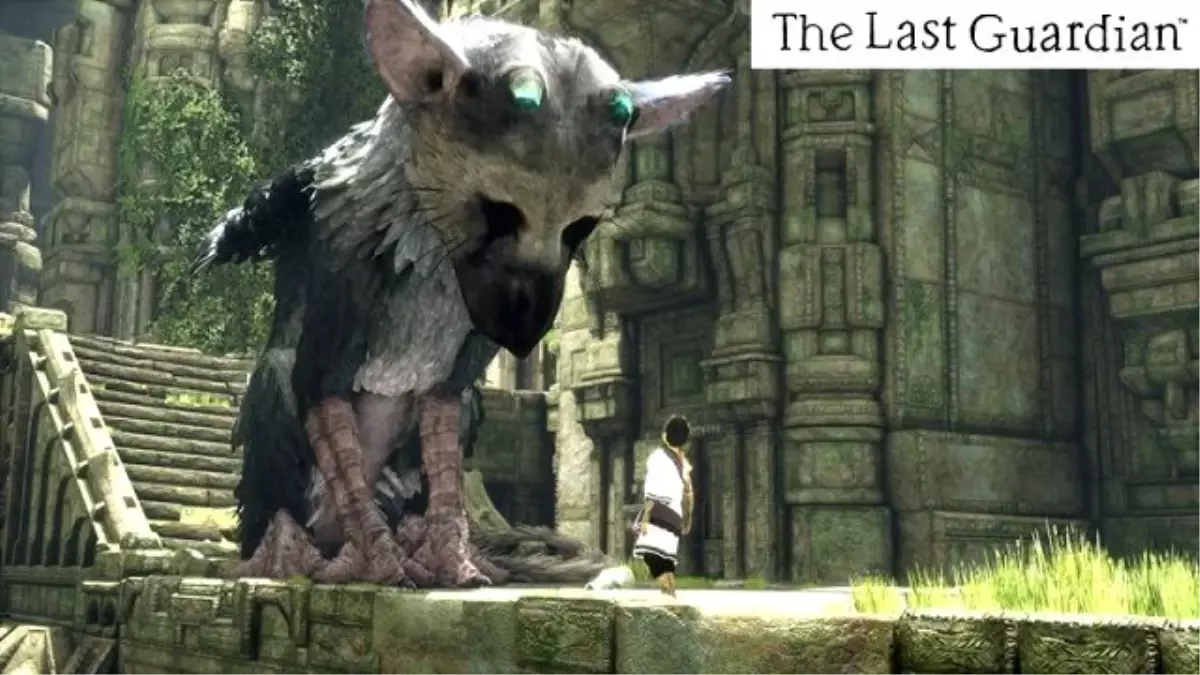 The Last Guardian Tokyo Game Show Etkileyici Tanıtım