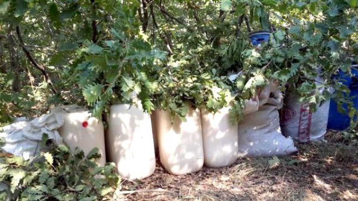 Tunceli\'de 4 Ton Patlayıcı Ele Geçirildi