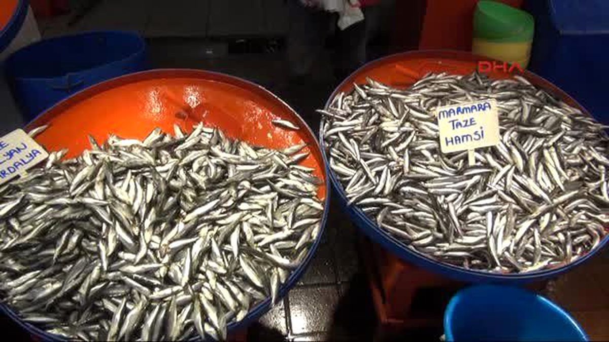 İki Tekne Bin 280 Kasa Avlayınca Hamsinin Kilosu 1 Lira 80 Kuruşa Düştü