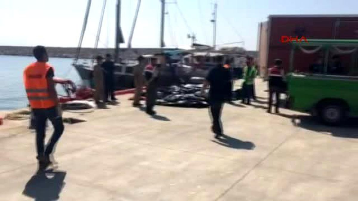 Kaçak Botuna Yolcu Gemisi Çarptı: 4'ü Çocuk 13 Ölü