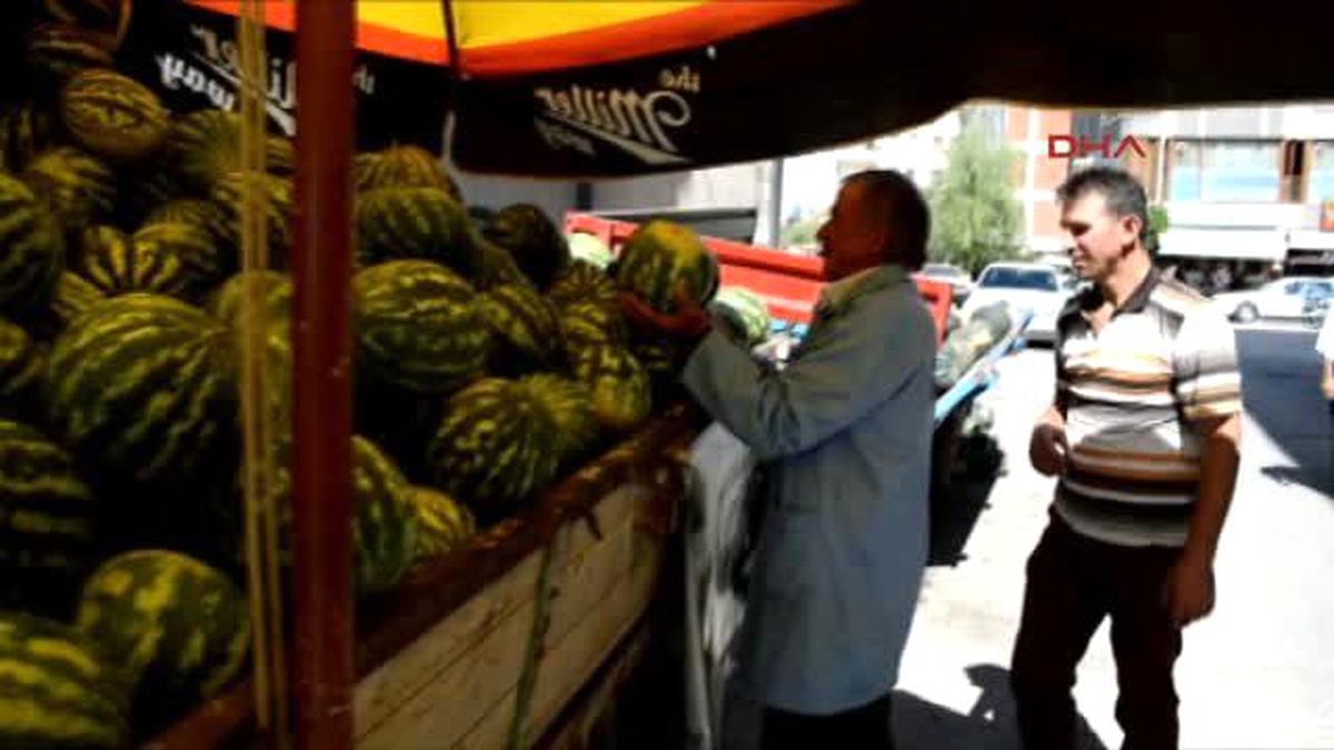 Çubuk\'ta Tarladan Üreticiye Orgganik Bayramlık Karpuz