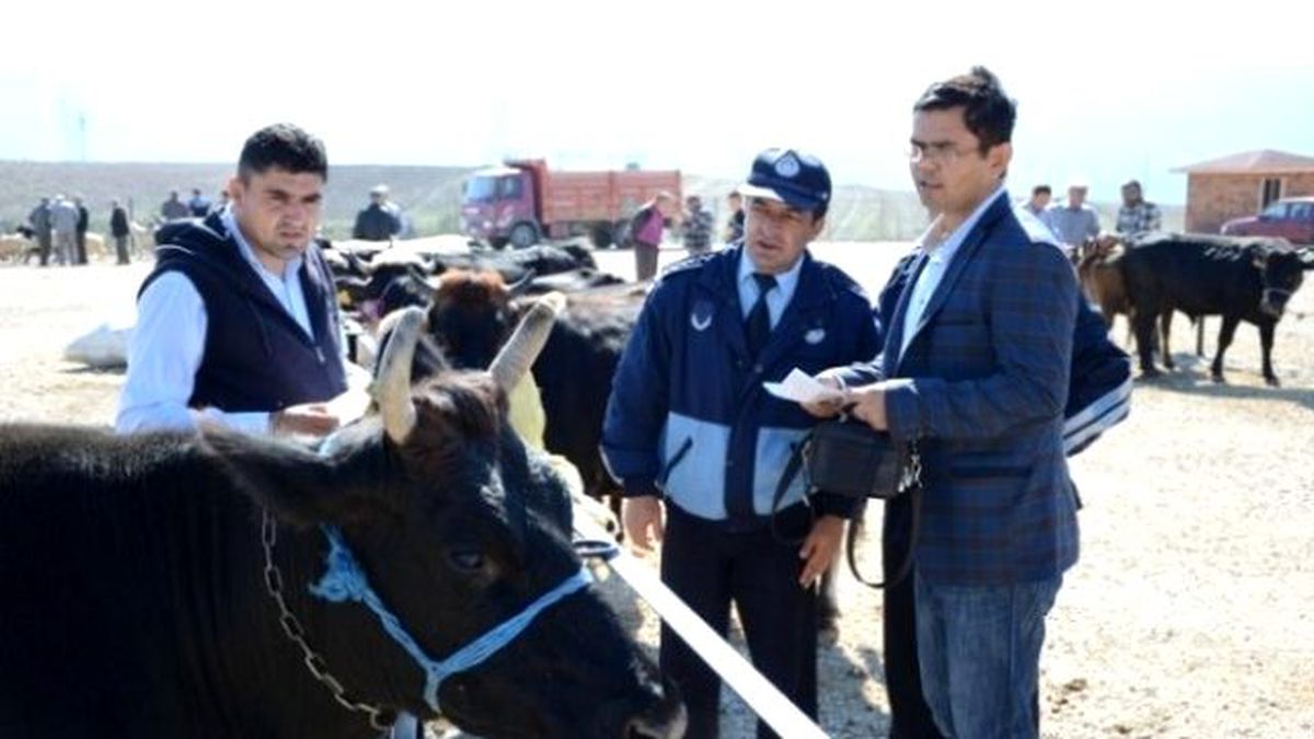 Hayvan Pazarında Denetimler Devam Ediyor