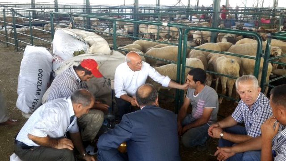 Kurban Pazarlığında Milletvekili Aracı Oldu