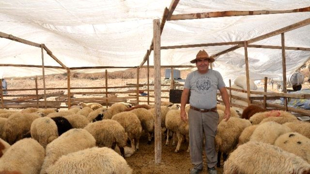 Kuşadası\'nda Kurban Bayramı Hazırlıkları Tamamlandı