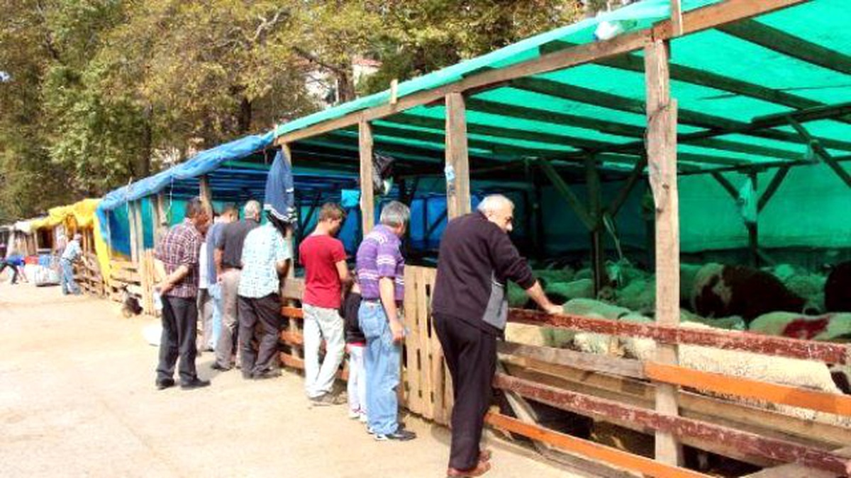 Zonguldak\'ta Kurbanlık Satışları Düşük
