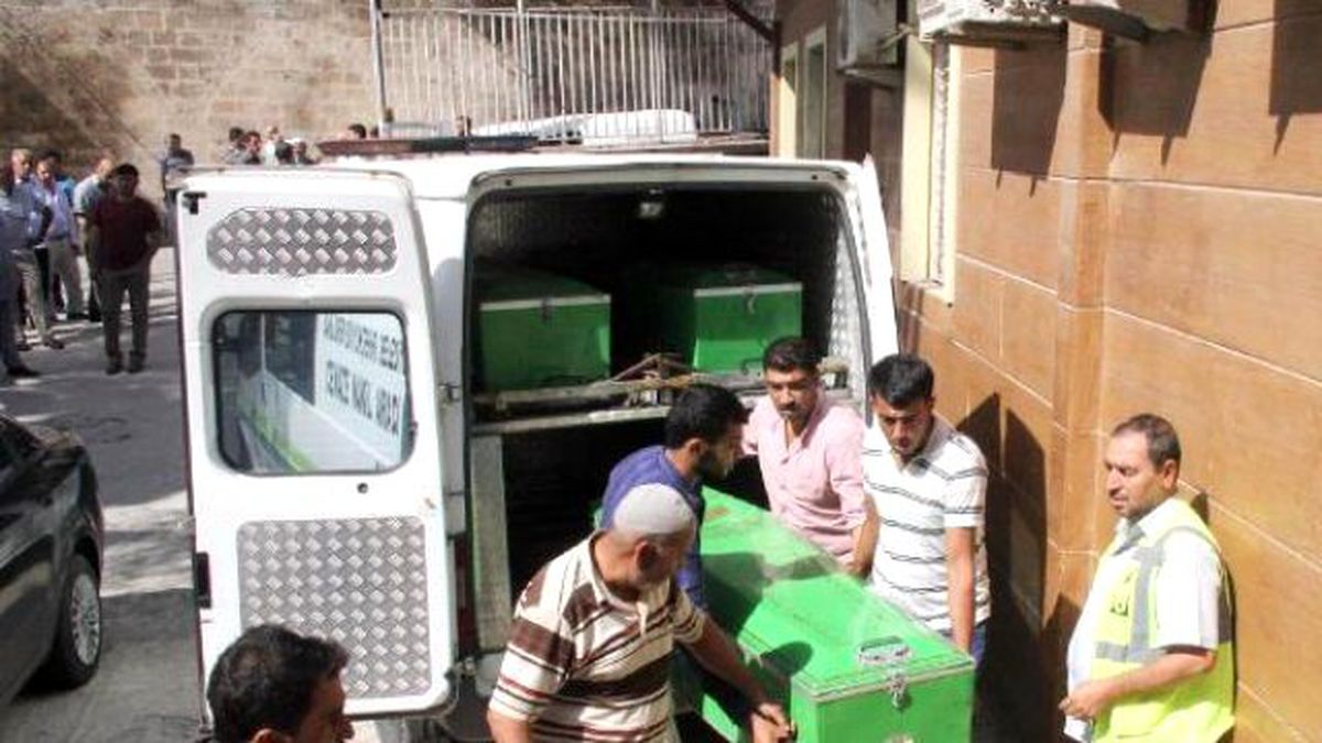 8'inci Kattan Düşerek Öldü