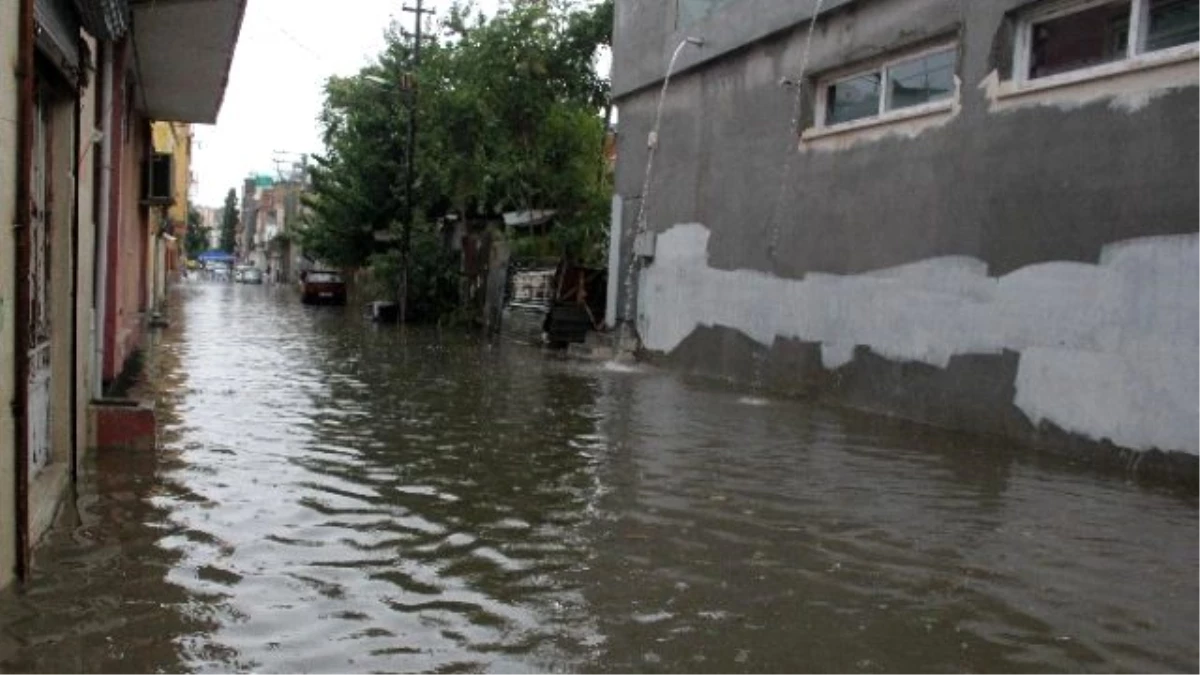 Adana\'da Yağmurda Koyunlar Telef Oldu, Morgu Su Bastı