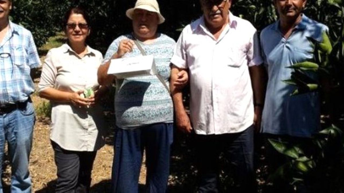 Aydın\'da Turunçgilller İçin Akdeniz Meyve Sineği Mücadelesi Başladı